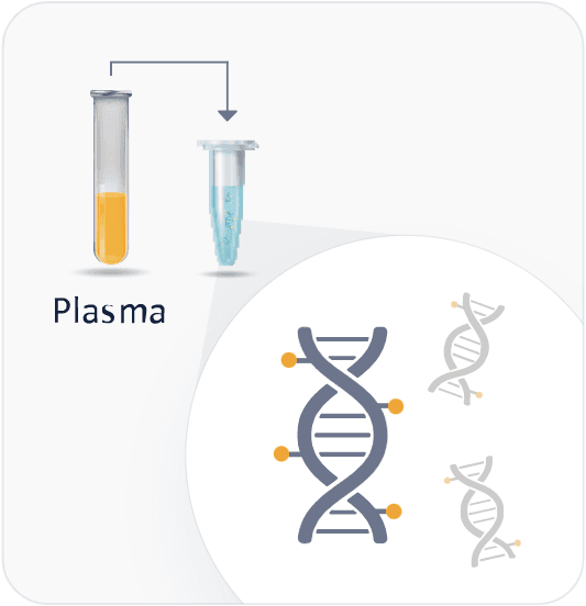 cfDNA Extraction