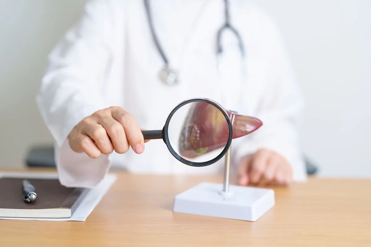 A physician examining a liver model, illustrating the risk factors for liver cancer